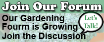 Zone 9 Vegetable Gardening Forum