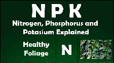 N-P-K Nitrogen Phosphorus and Potassium 
