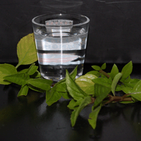 Propagating Basil