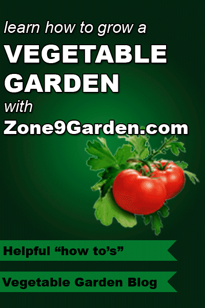 Learn how to grow a vegetable garden with Zone9Garden.com. Including a blog, forum and much more.