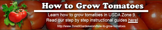 ”How to grow tomatoes