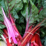 Chard