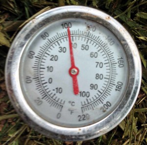 compost thermometer IMG_1537