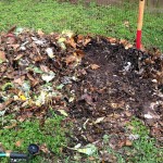 compost2 IMG_2734