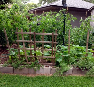 herb cinder blocks