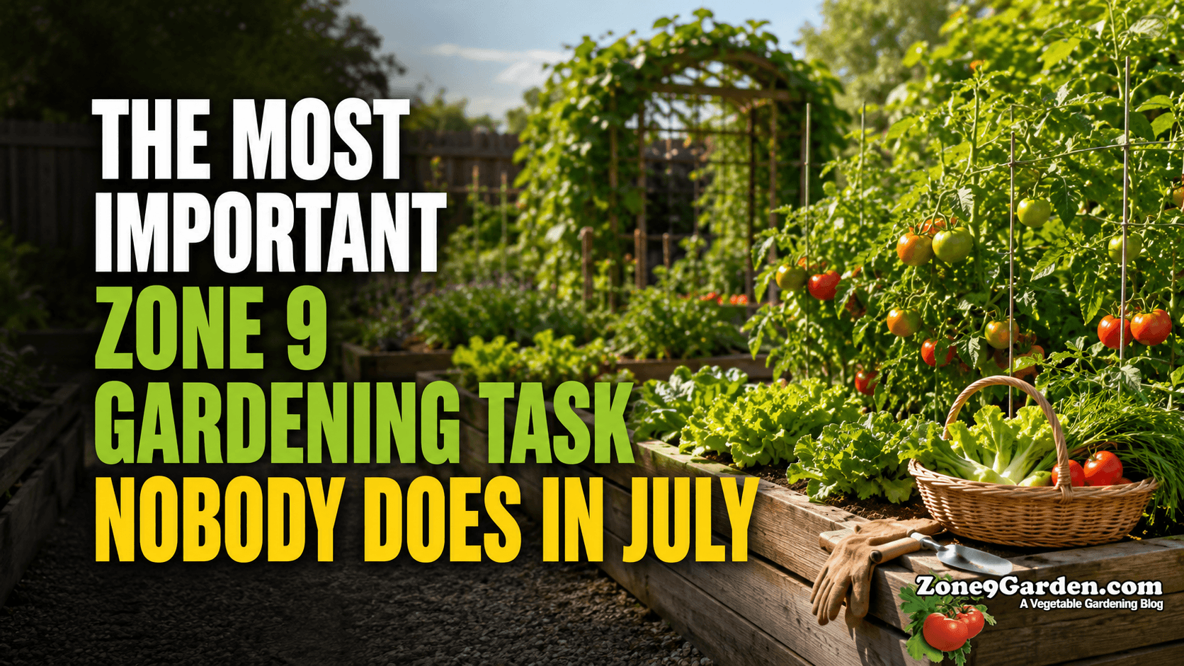 Gardening in Zone 9 in July