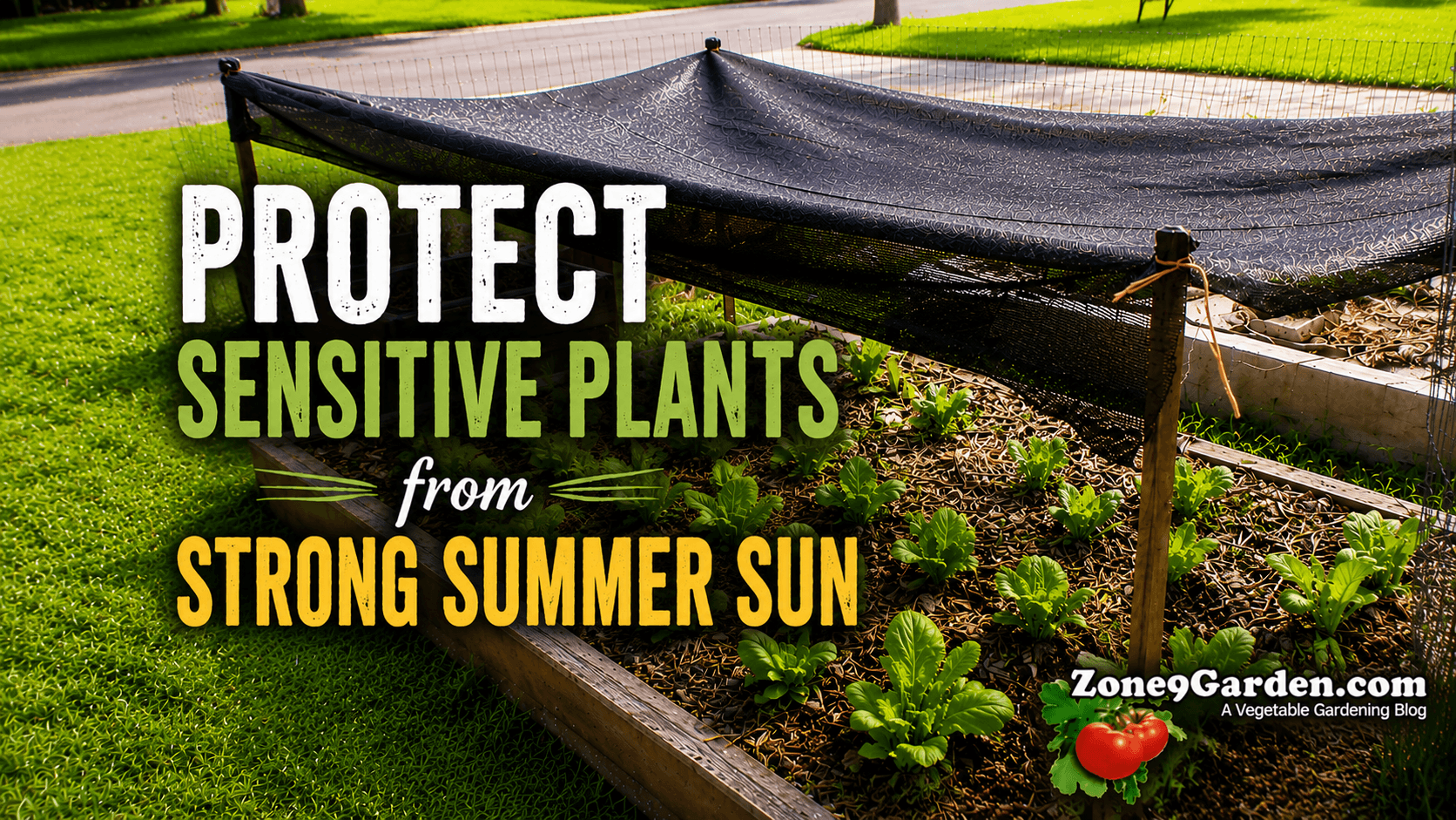 Protect Plants From Summer Sun