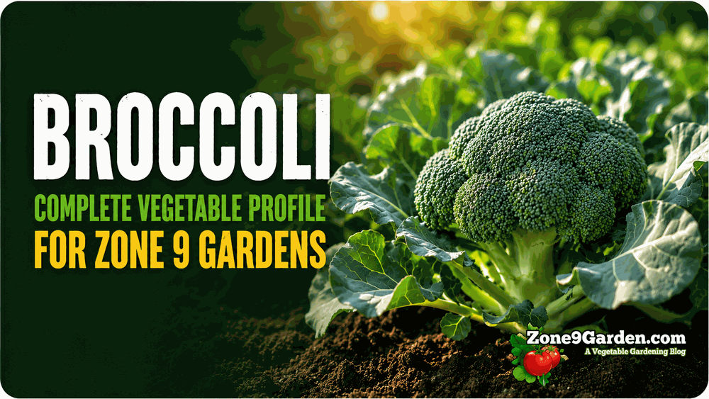 Zone 9 Broccoli Profile
