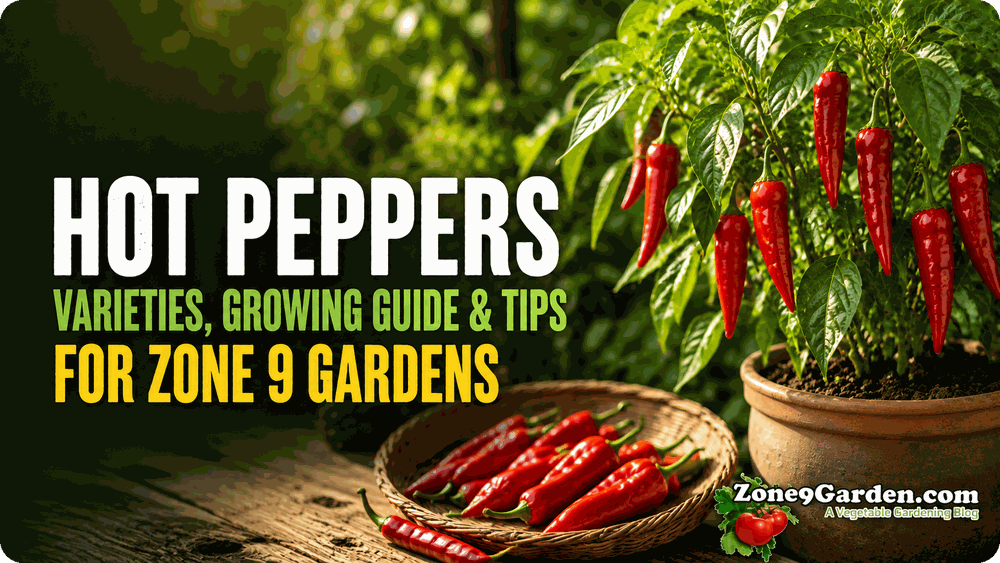 How to Grow Hot Peppers in Zone 9