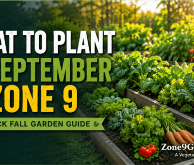 What to grow in september