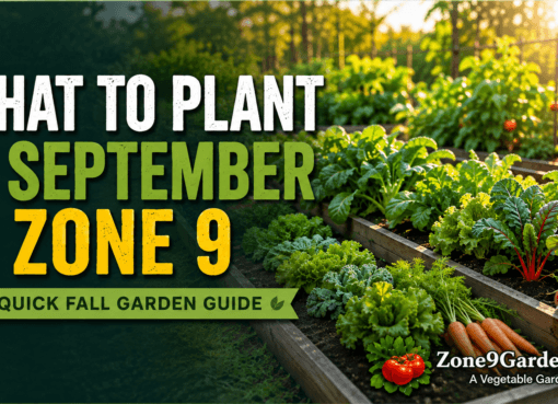 What to grow in september