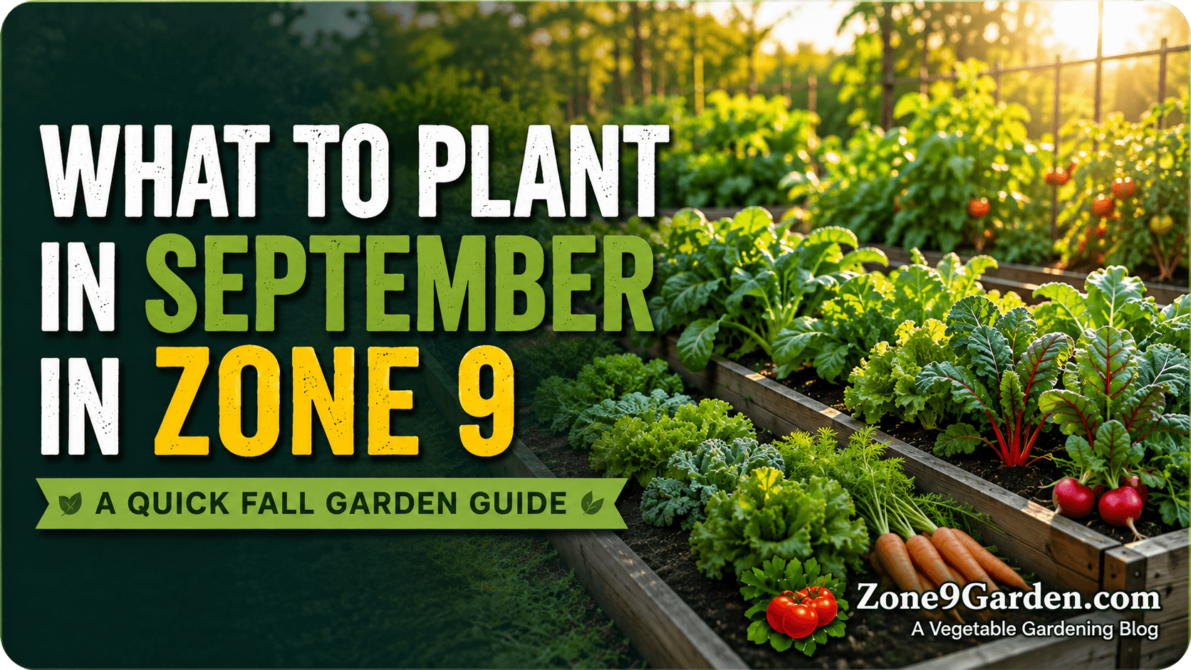 What to grow in september