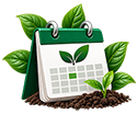 Zone 9 Planting Times