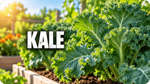 Kale