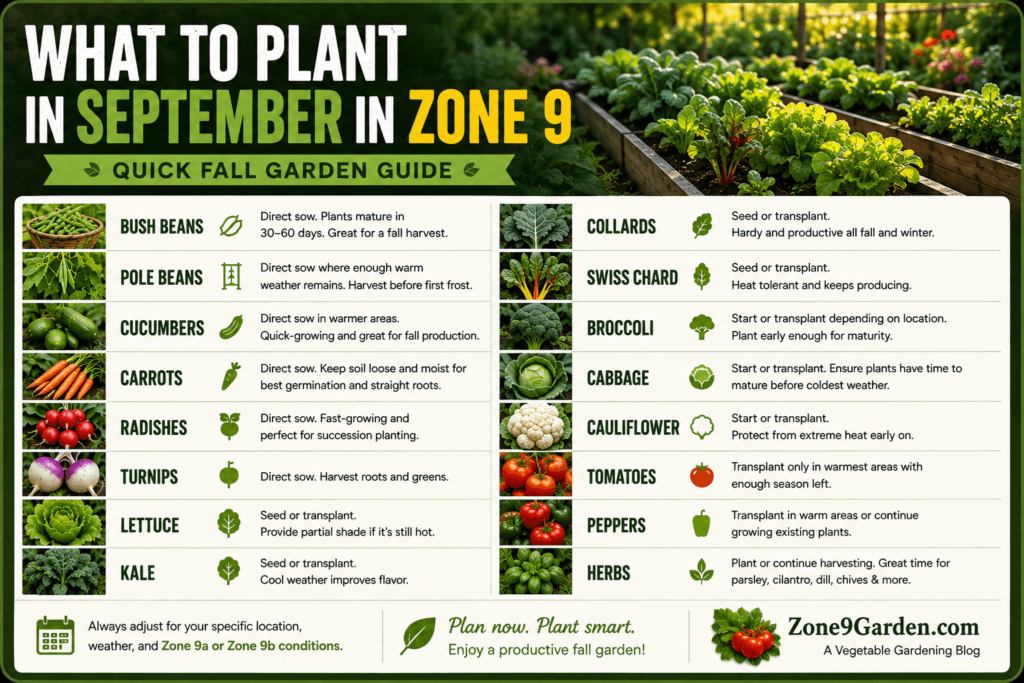 What to plant in september
