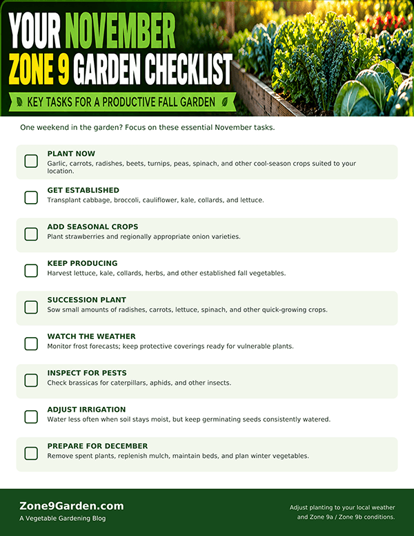 November Checklist