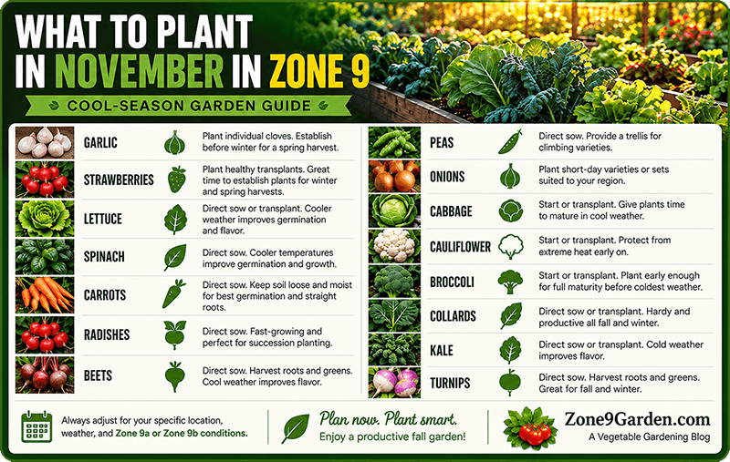 Zone 9 November Planting Guide