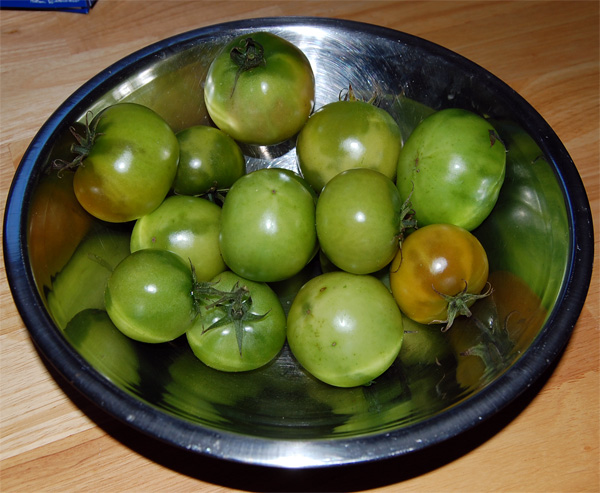 Zone 9 Vegetable - Green Tomatoes
