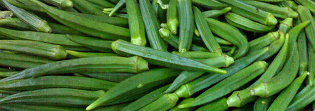 Vegetable Garden Blog - Okra