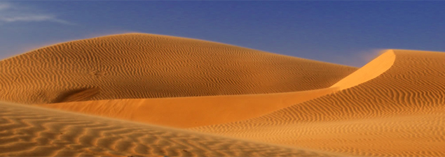 How to Amend Sandy Soil