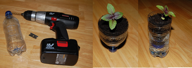 Self Watering Seedling Container