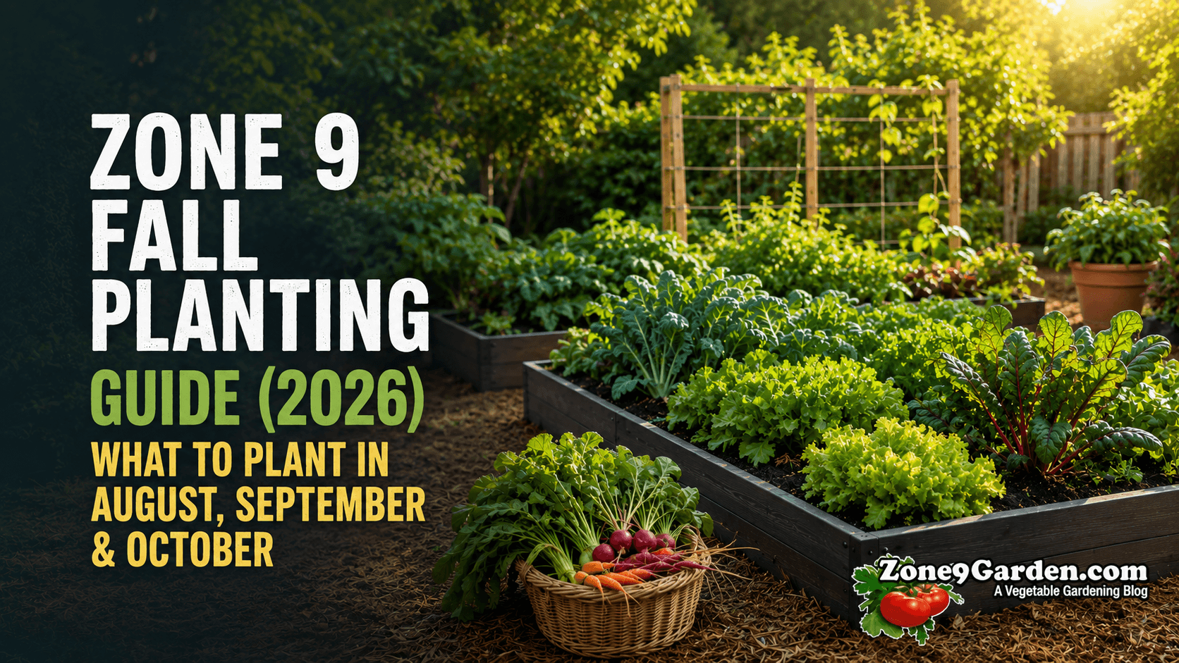 Zone 9 Fall Planting Guide