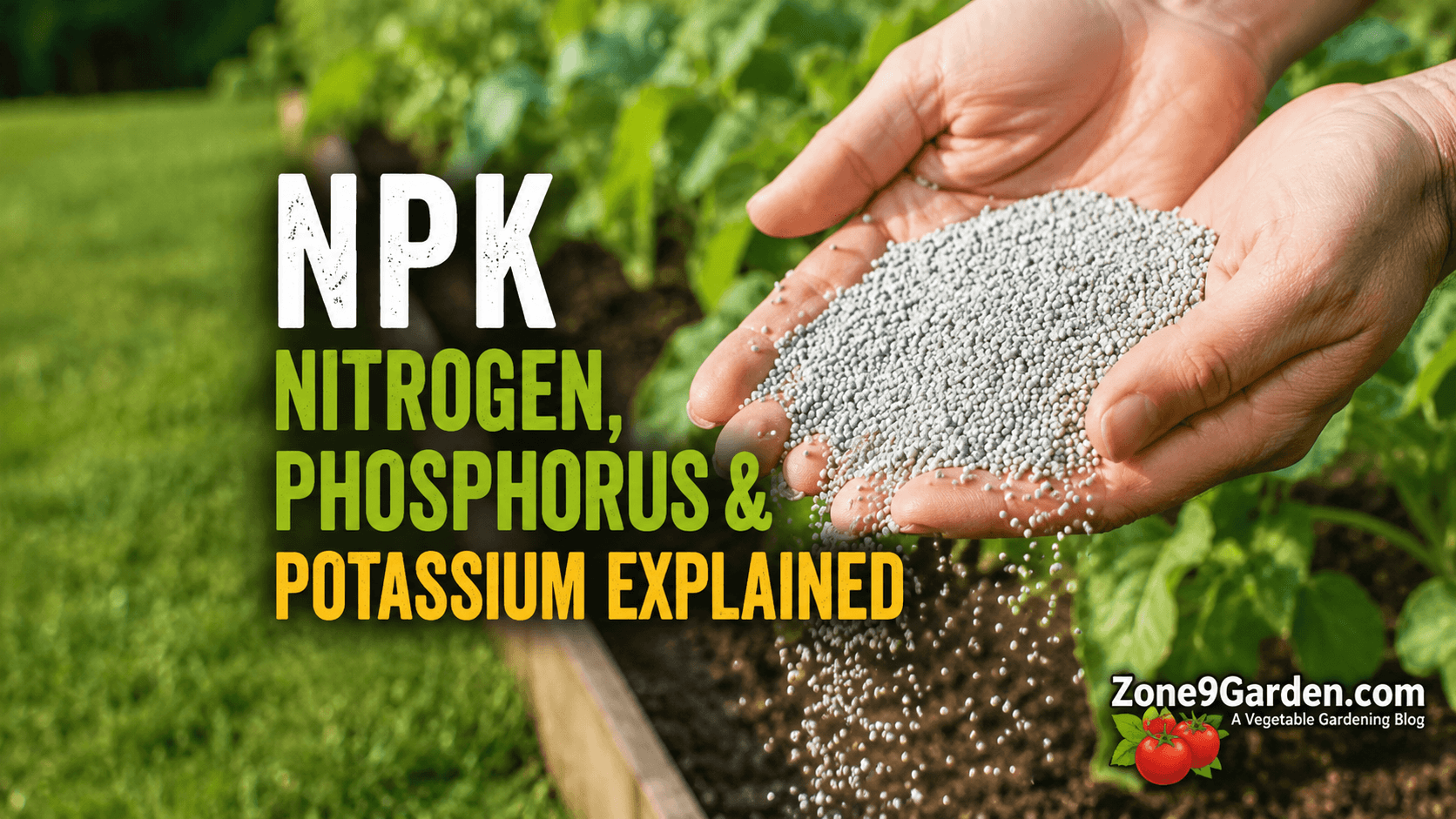 Z9G - Featured - NPK 2 | Zone 9 Garden NPE Explained