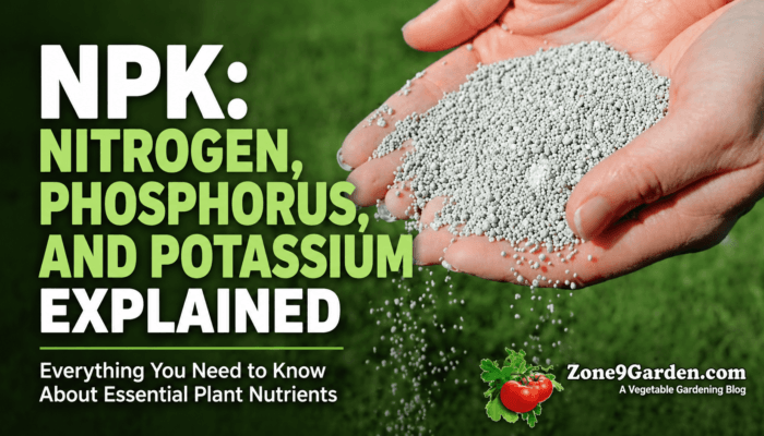 NPK fertilizer granules in hands over grass with text explaining nitrogen, phosphorus, and potassium nutrients for plants.