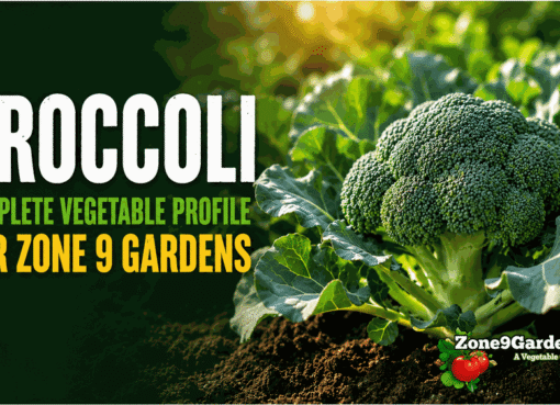 Zone 9 Broccoli Profile