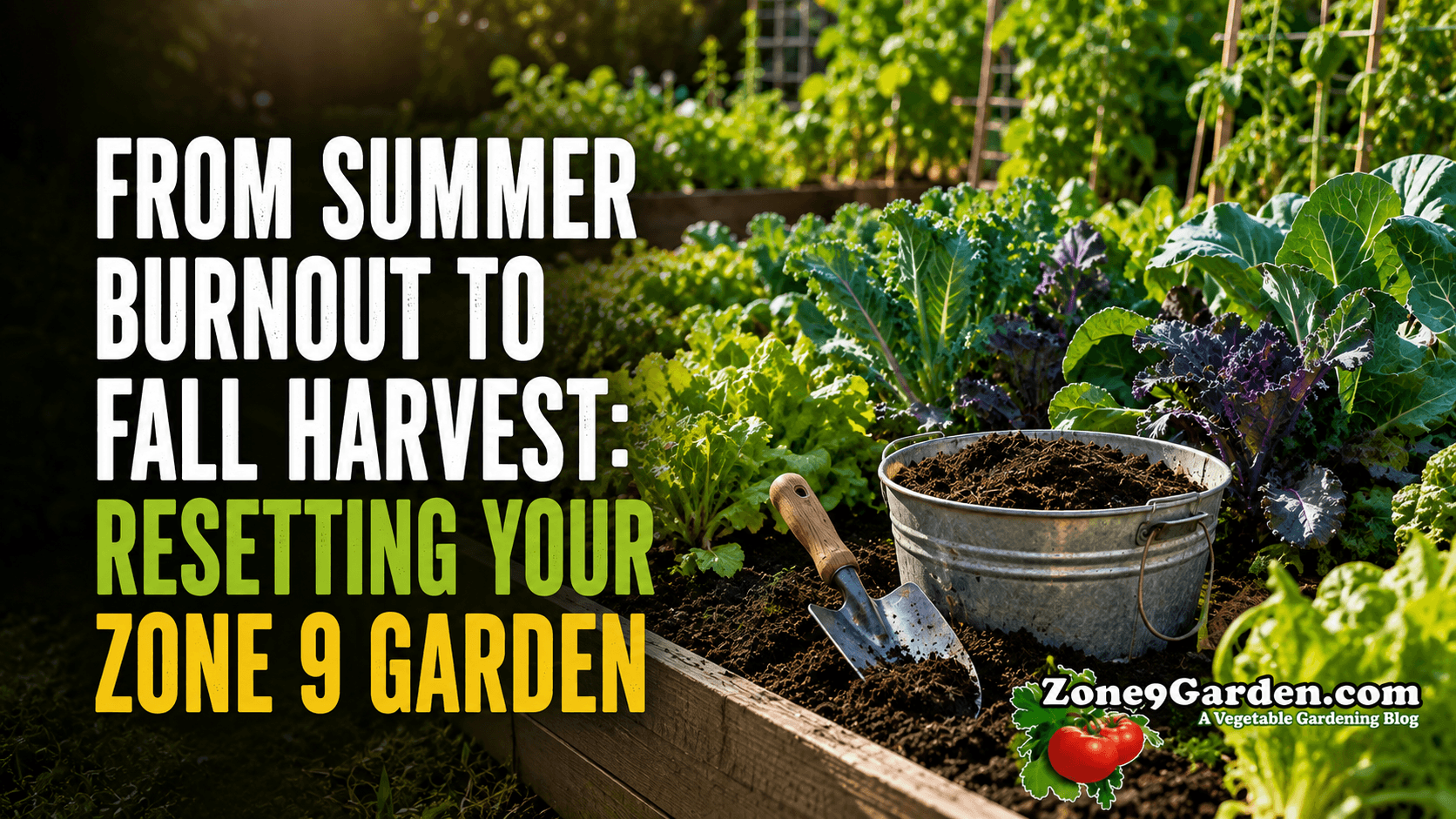 Z9G - Featured - Burn to Harvest | Zone 9 Garden Summer to Fall Transition for Zone 9