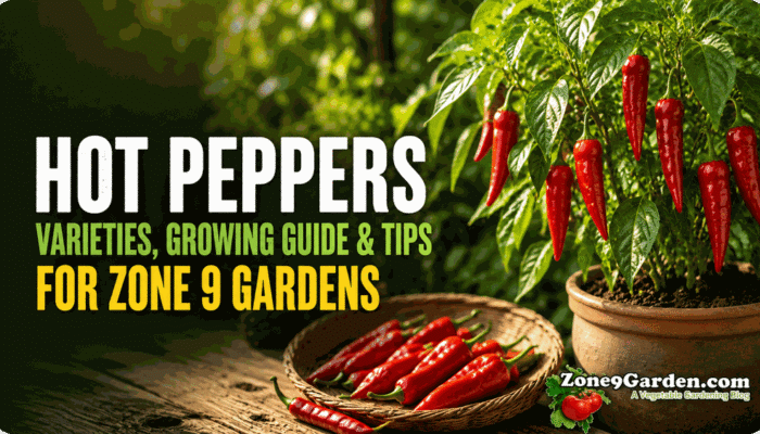 How to Grow Hot Peppers in Zone 9