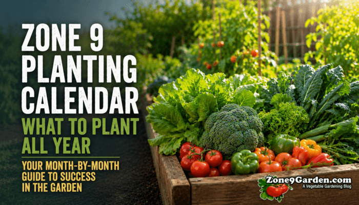 Zone 9 Garden Planting Calendar