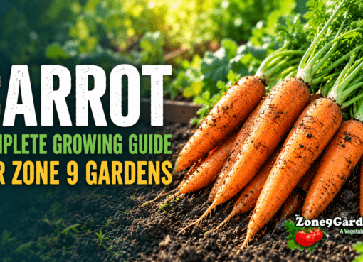 Zone 9 Carrort Profile