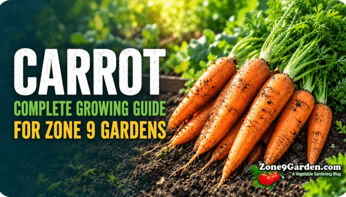 Zone 9 Carrort Profile