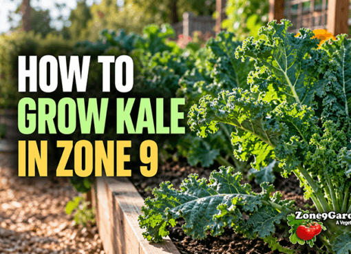 How to Grow Kale in Zone 9