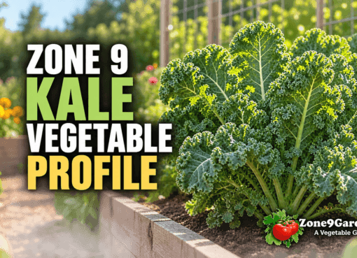 Zone 9 Kale Profile