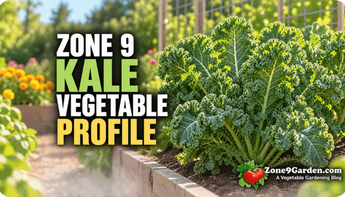 Zone 9 Kale Profile