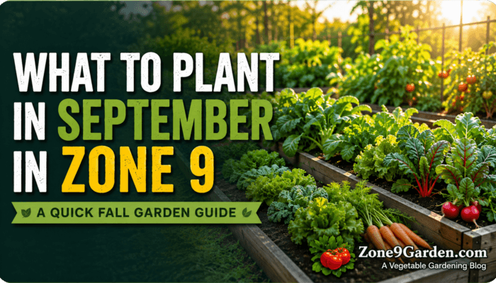 What to grow in september