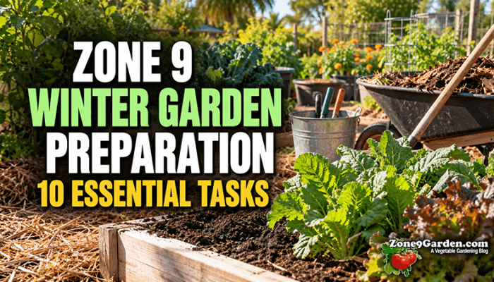Zone 9 Garden Winter Prep