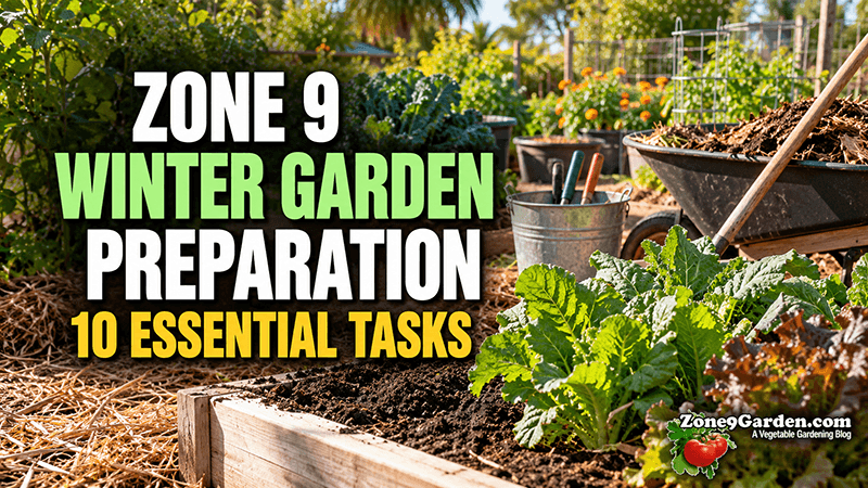 Zone 9 Garden Winter Prep | Zone 9 Garden Zone 9 Garden Winter Prep